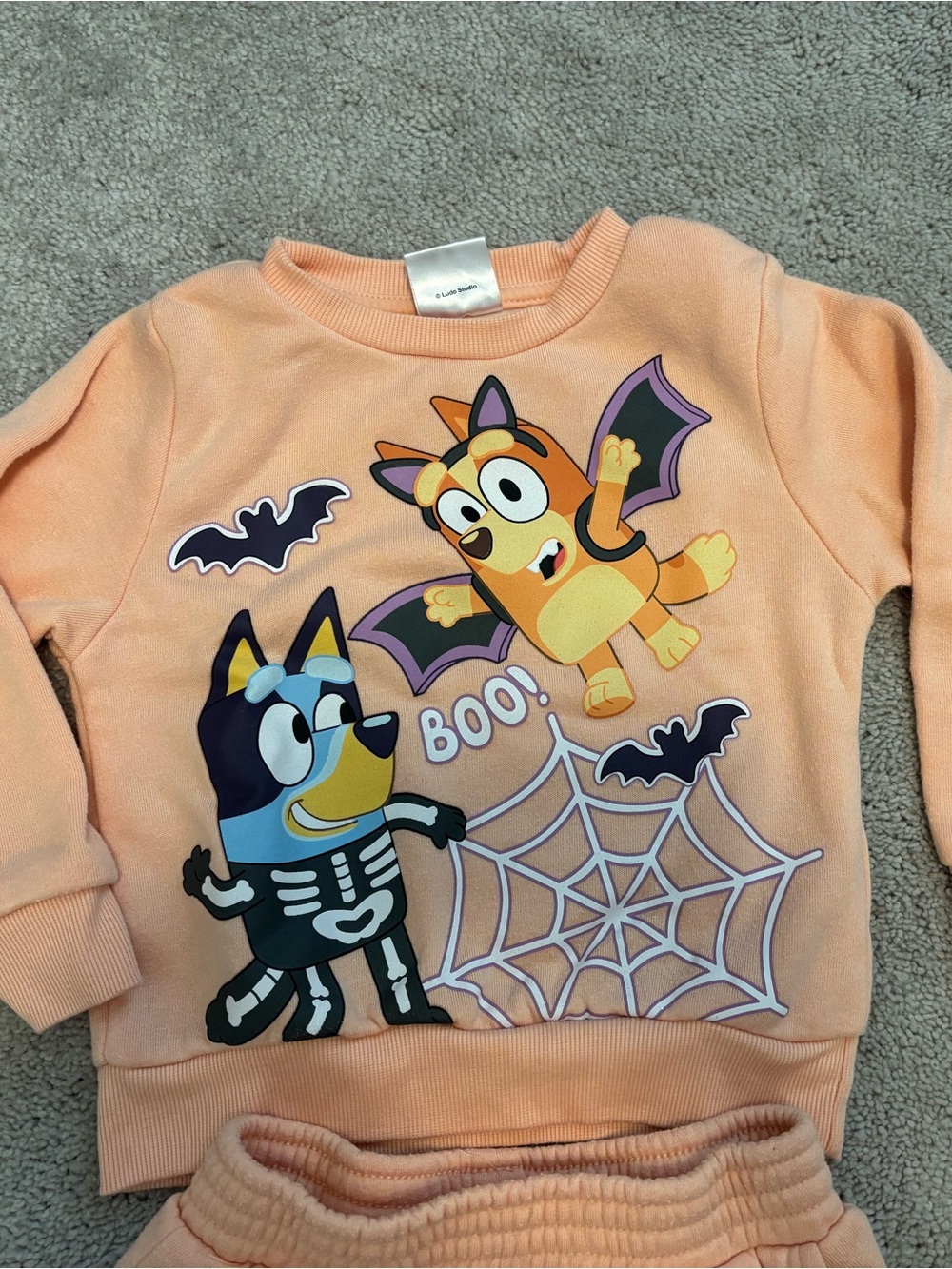 Halloween Bluey Matching Set